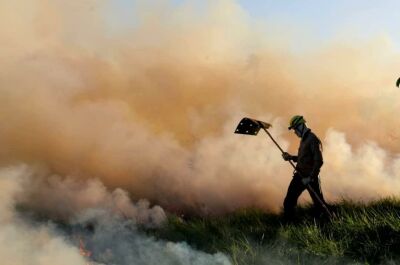 Imagem da notícia Governo de MS prorroga Estado de Emergência Ambiental devido ao risco de incêndios florestais